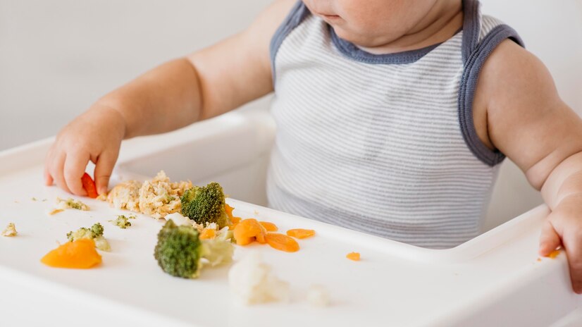 Supporting Toddler Nutrition: Nurturing Healthy Eating Habits for Life